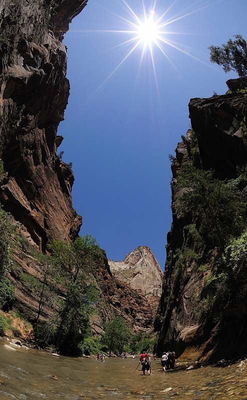 01 zion narrows D30_2156